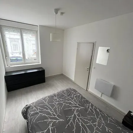 Superbe Appartement Renove Au Centre De Forbach Exterior photo