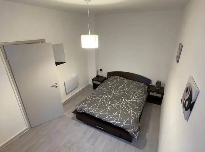 Superbe Appartement Renove Au Centre De Forbach